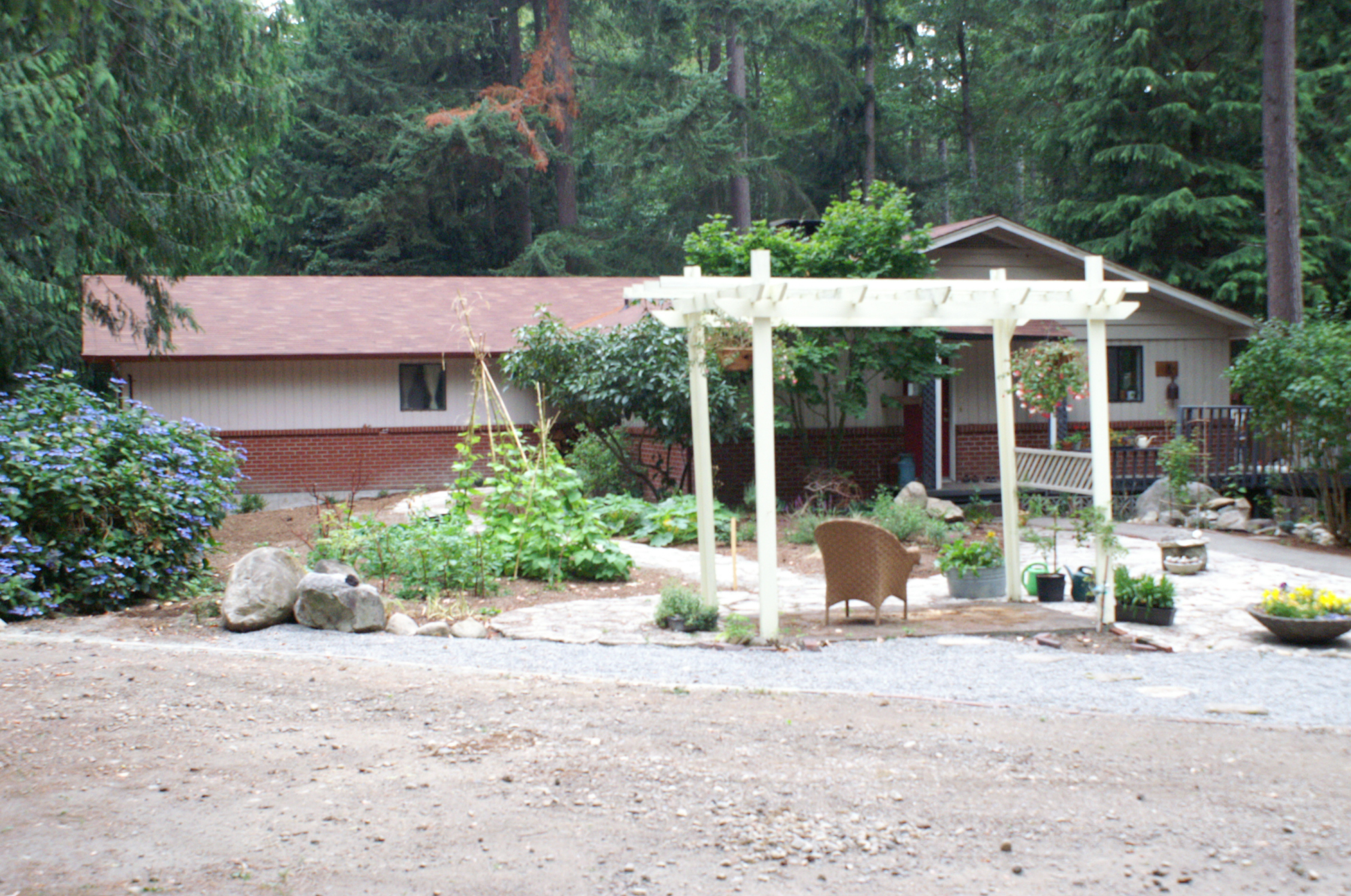 front yard 8/7 a view from the driveway