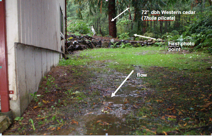 runoff through side yard
