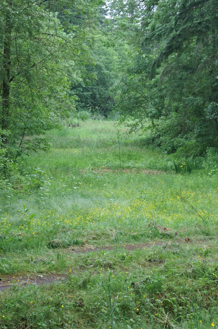 Lake - summer 09