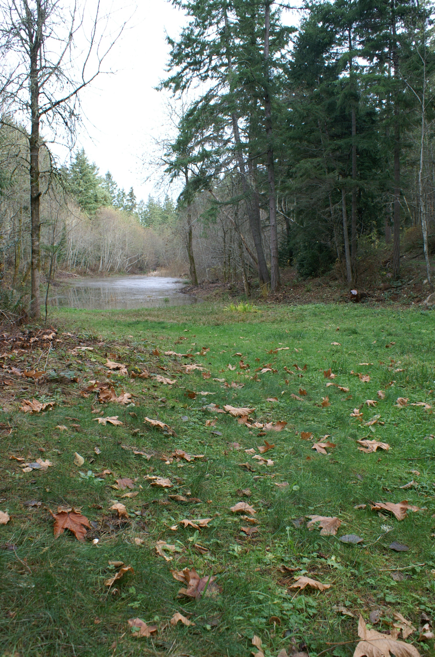 lake and south shore lake and south shore