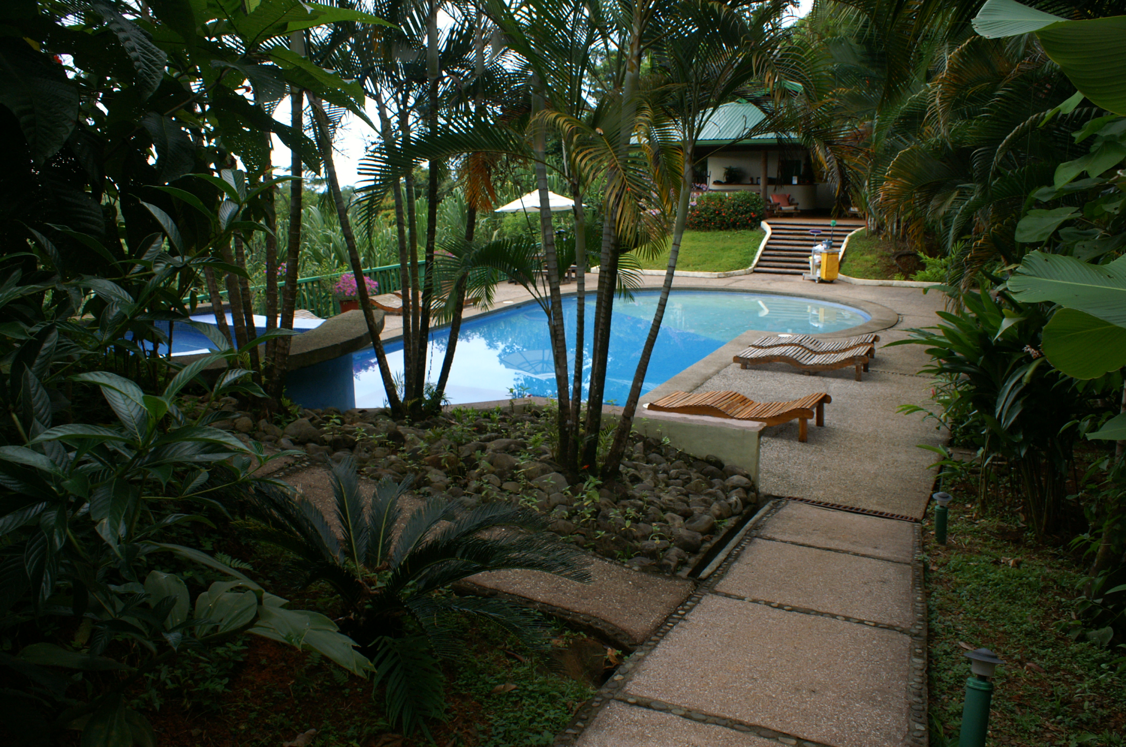 My Costa Rica Dream Yard My Costa Rica Dream Yard