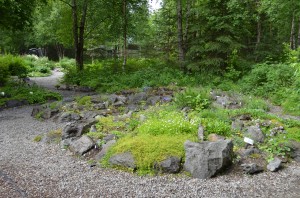 002 I love the naturalistic look of this raised bed rock garden that mirrors the low impact, low cost approach I use.