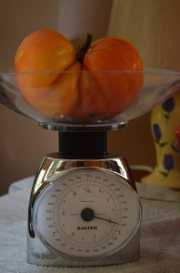 2lbtomato