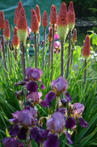 BarnGarden18