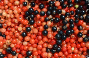 KeepingCurrant