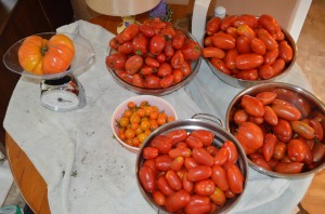 romas
