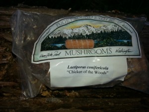 A mushroom plug...