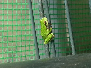 20130629_165920
