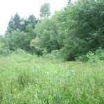 center of lake - summer 09