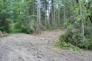 June 2014 post-logging