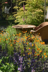 A lush perennial garden attracts several species of bumblebees as well as mason bees, wool carder bees, wasps, and other native pollinators such as flies and small beetles. Cat mint with purple flowers is in the foreground.