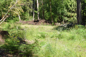Debris pile (background)