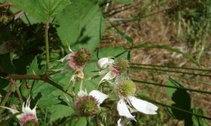20150619_130959