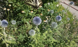 20150721_163045